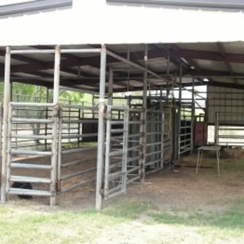 AMC Kingsville Equine/Cattle Area